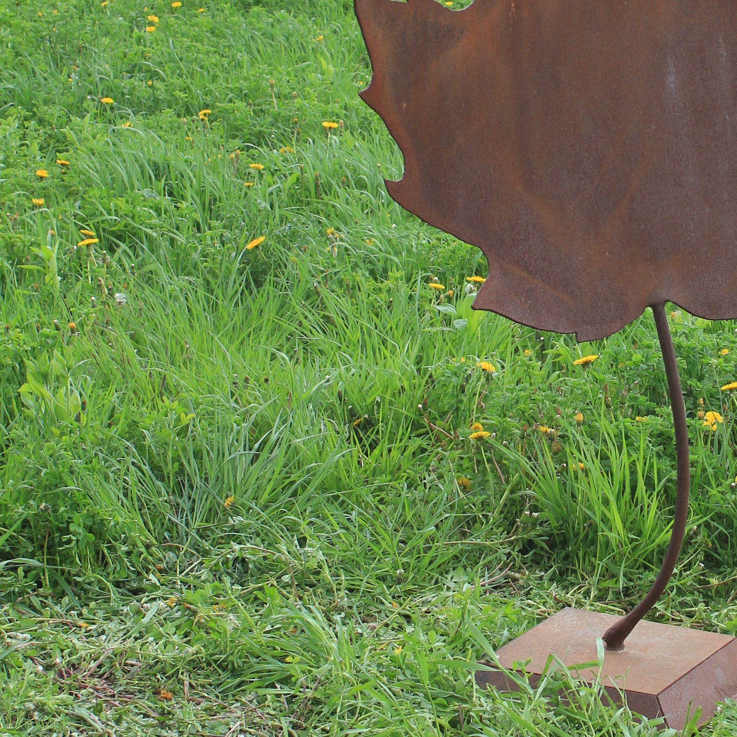 Maple Leaf Extra-Large