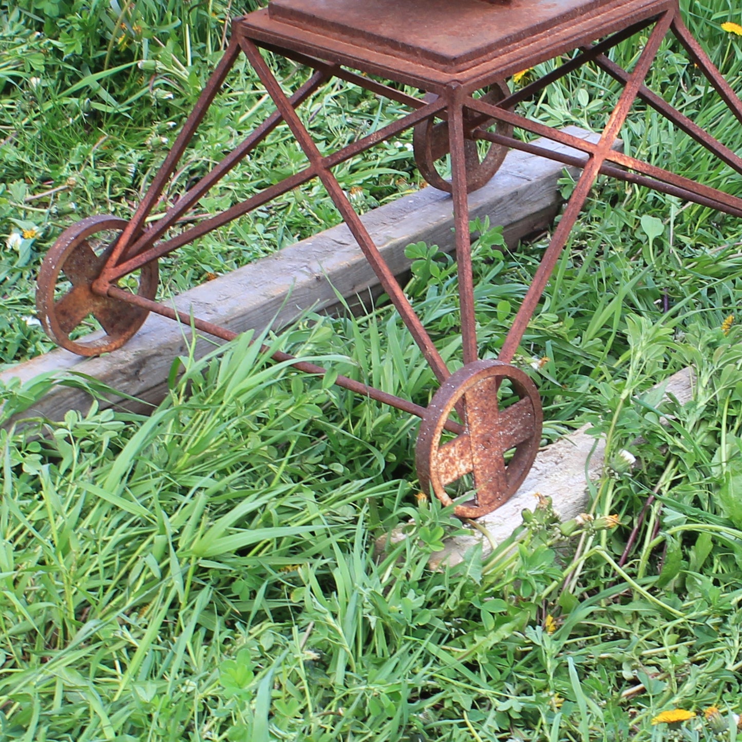 Large scale: The Transplant