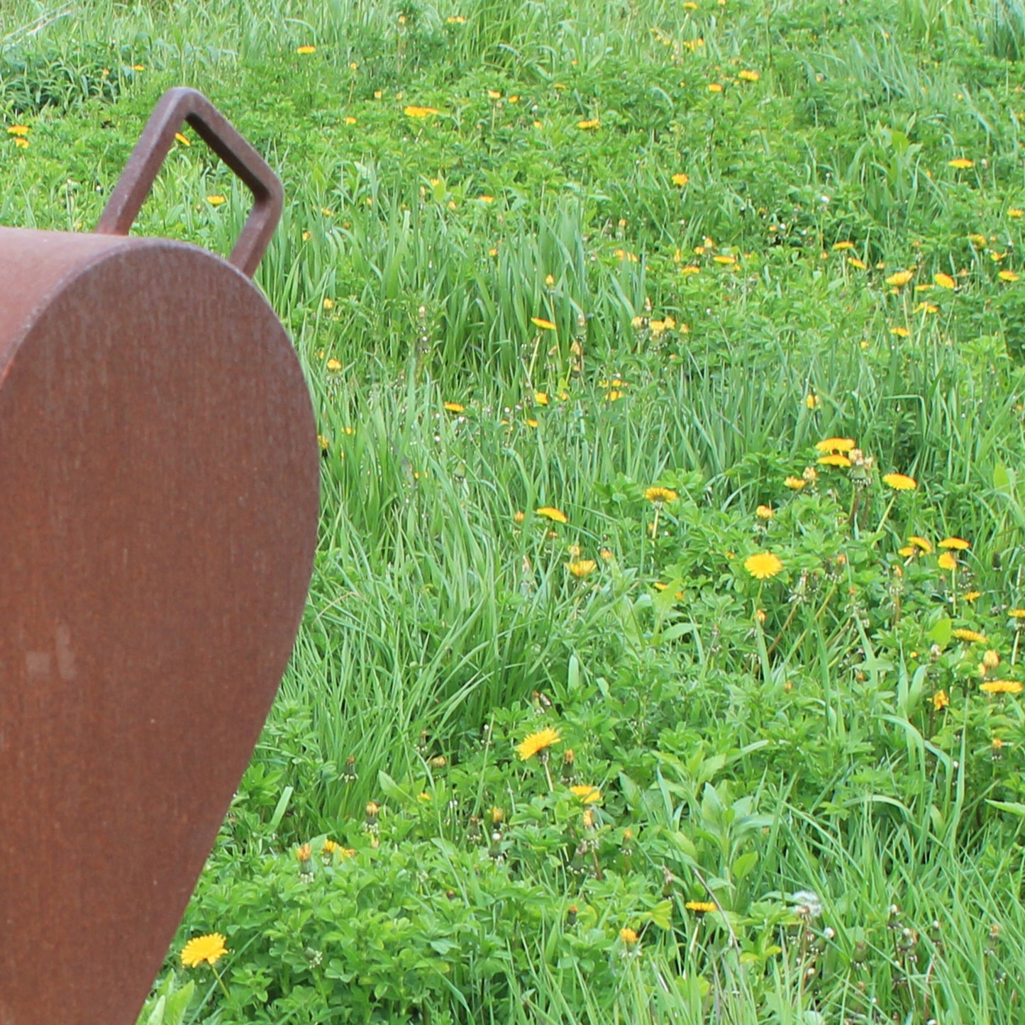 Large scale: The Transplant