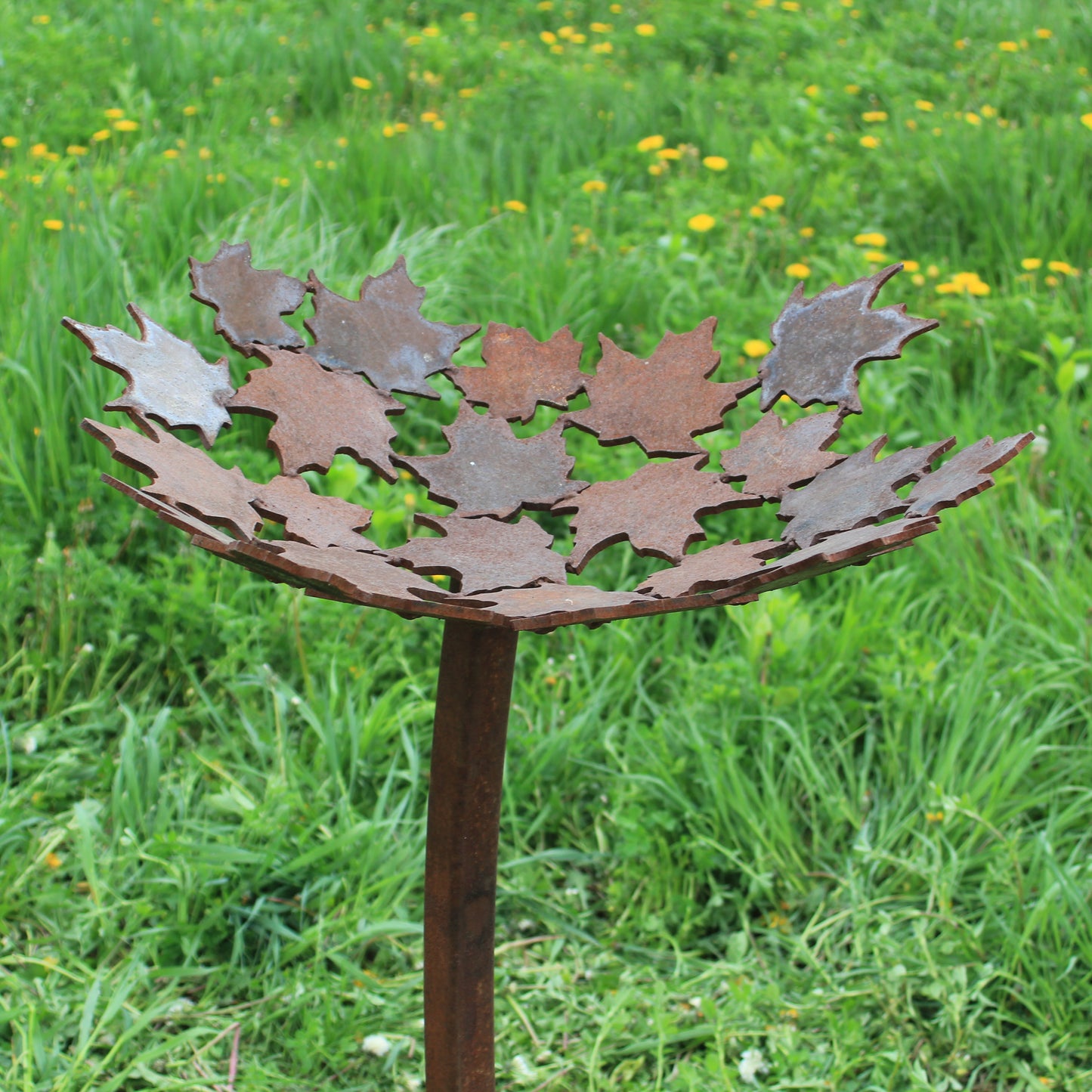 Maple Leaf Bird Bath